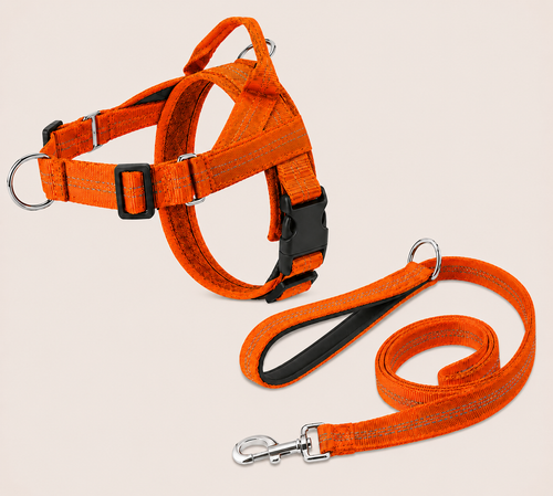 Ensemble harnais + laisse assortie et personnalisation