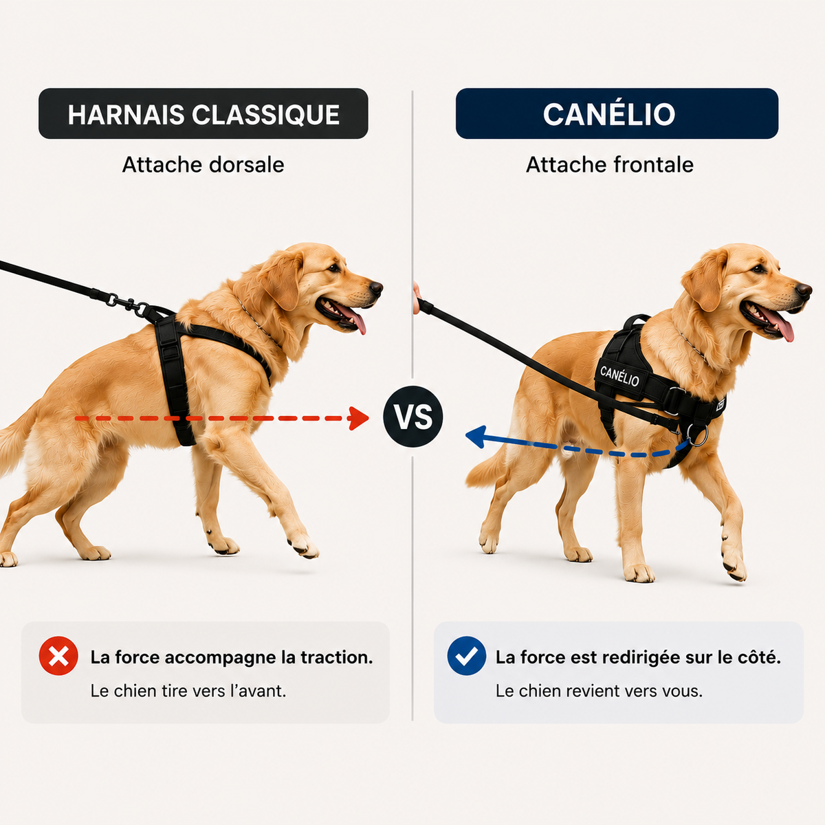 Vous avez peut-être déjà essayé un harnais. [Mais pas avec le même point d'appui.]