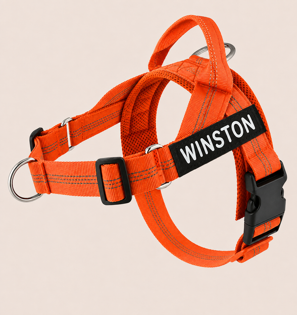 Harnais anti-traction orange